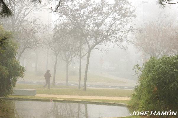 Foto de Jerez de la Frontera (Cádiz), España