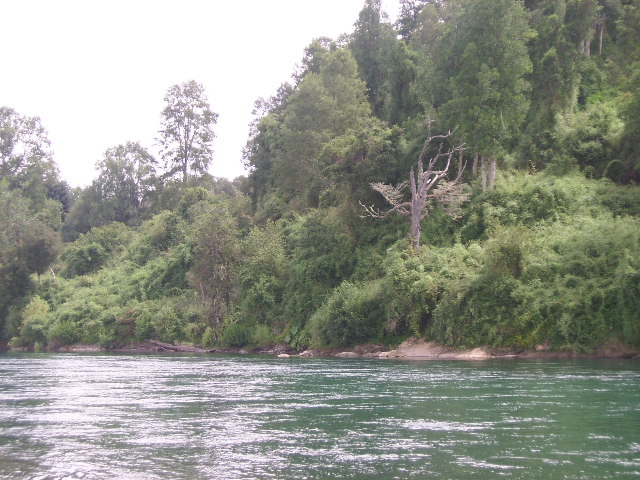 Foto de Los Lagos, Chile