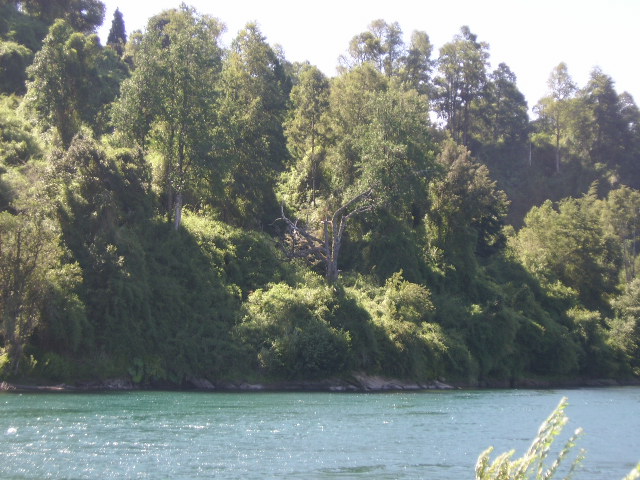 Foto de Los Lagos, Chile