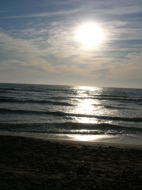 Foto de Palma de Mallorca (Illes Balears), España