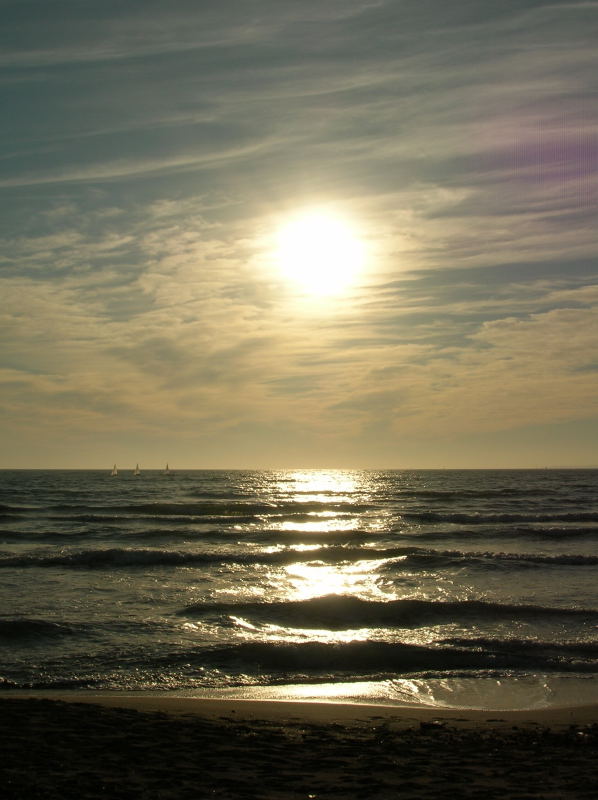 Foto de Palma de Mallorca (Illes Balears), España