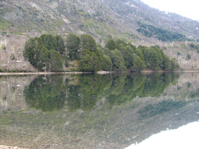 Foto de Parque Nacional Lanin, Argentina