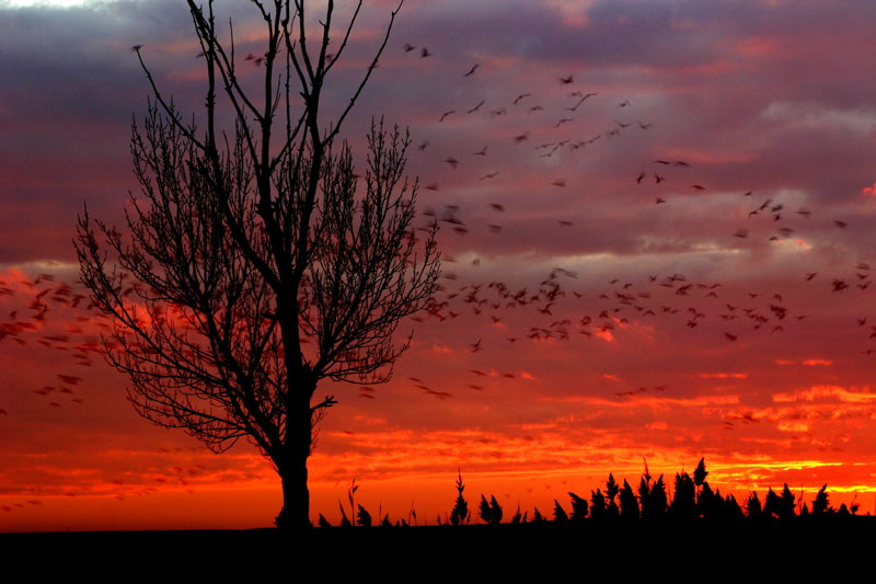 Foto de Fuentes de Nava (Palencia), España