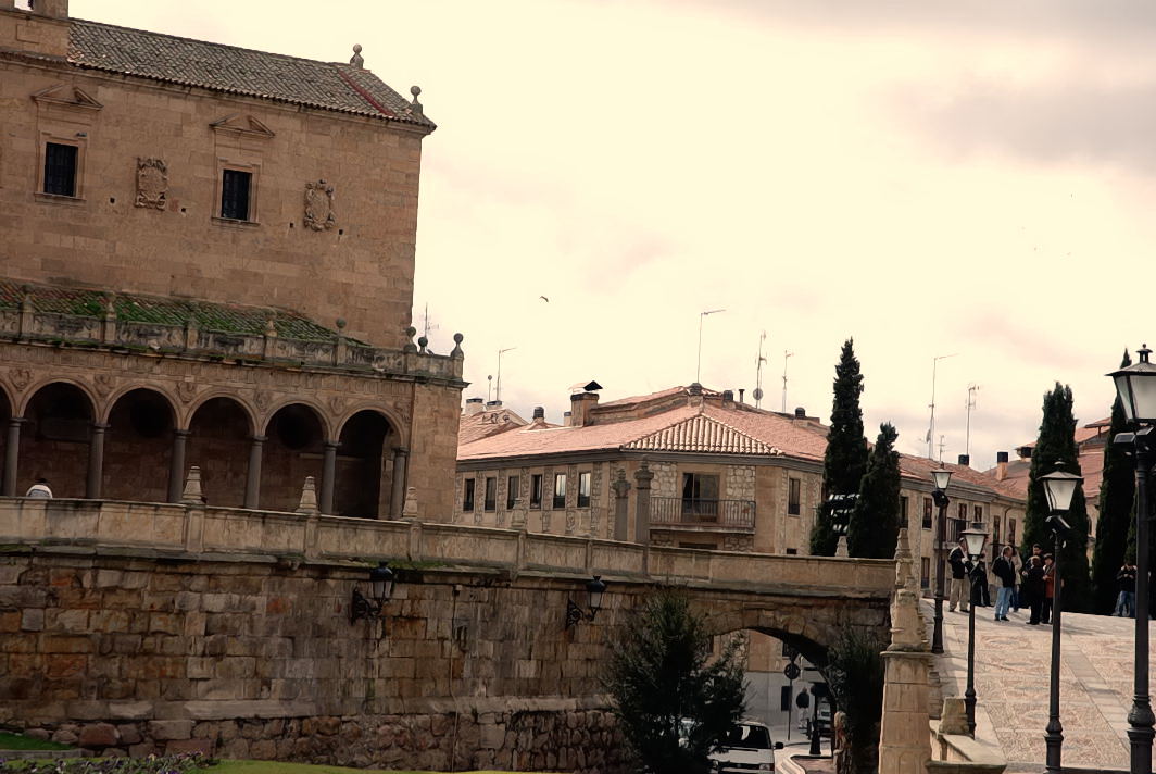 Foto de Salamanca (Castilla y León), España