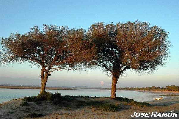 Foto de Puerto Real (Cádiz), España