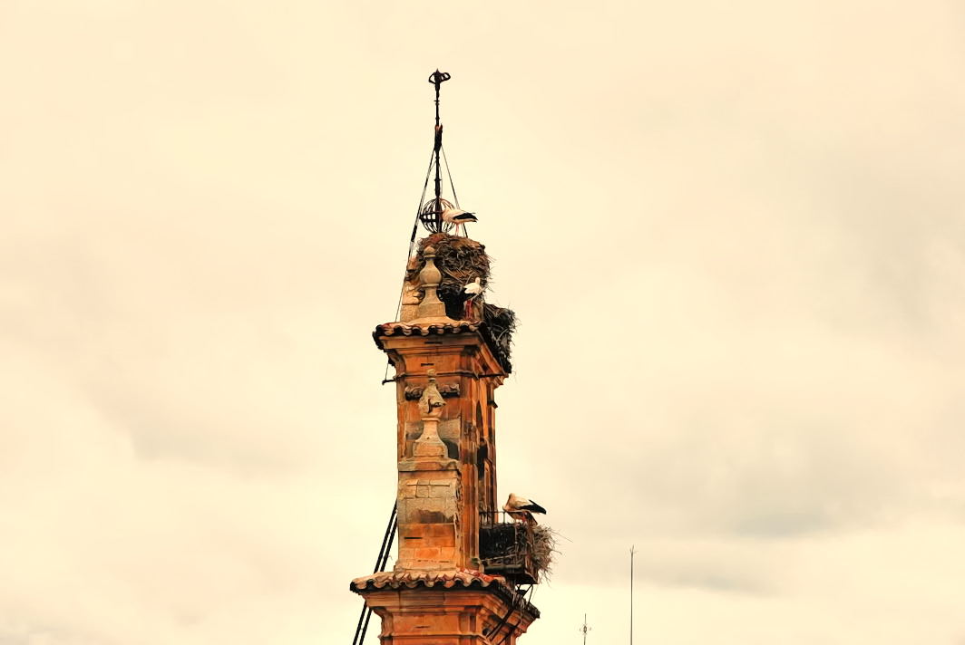 Foto de Salamanca (Castilla y León), España
