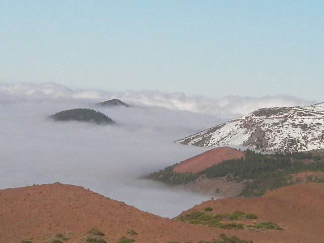 Foto de La Orotava (Santa Cruz de Tenerife), España