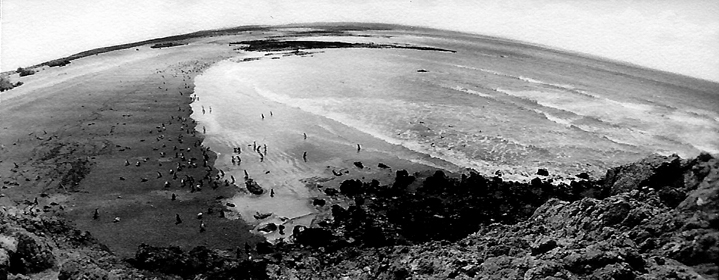 Foto de Peninsula de Valdez, Argentina