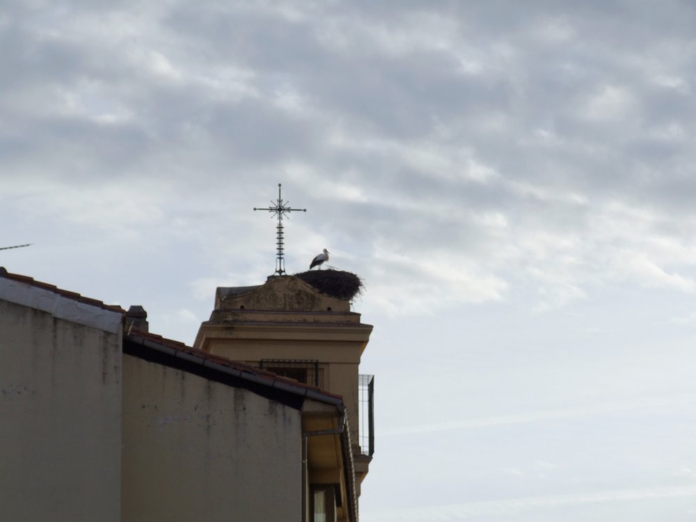 Foto de Soria (Castilla y León), España