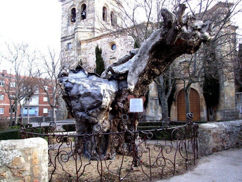 Foto de Soria (Castilla y León), España