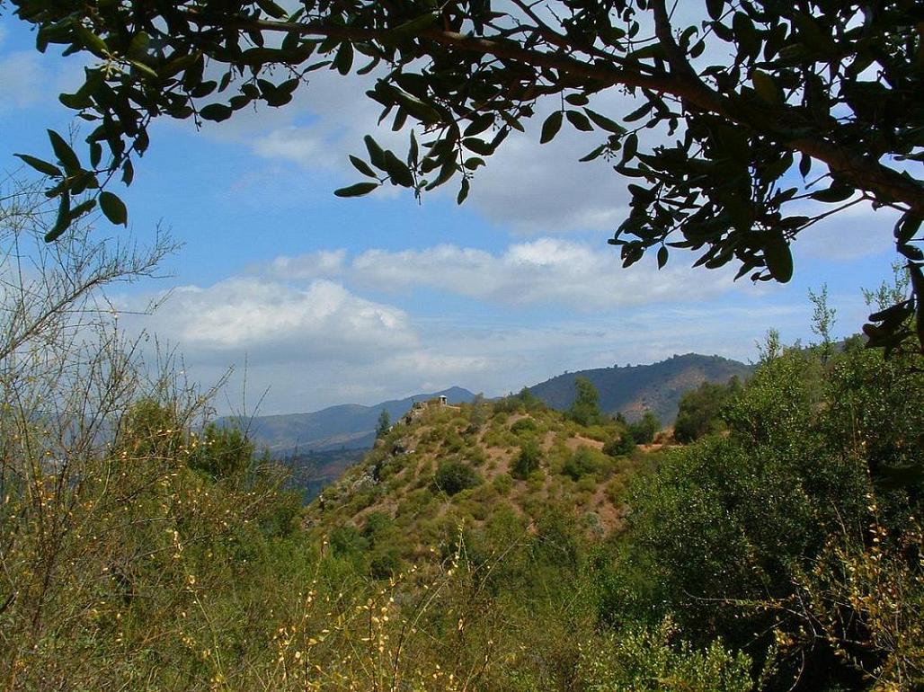 Foto de Curacaví, Chile