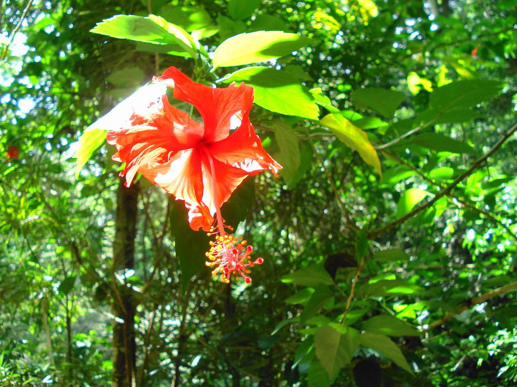 Foto de Santa Marta, Colombia