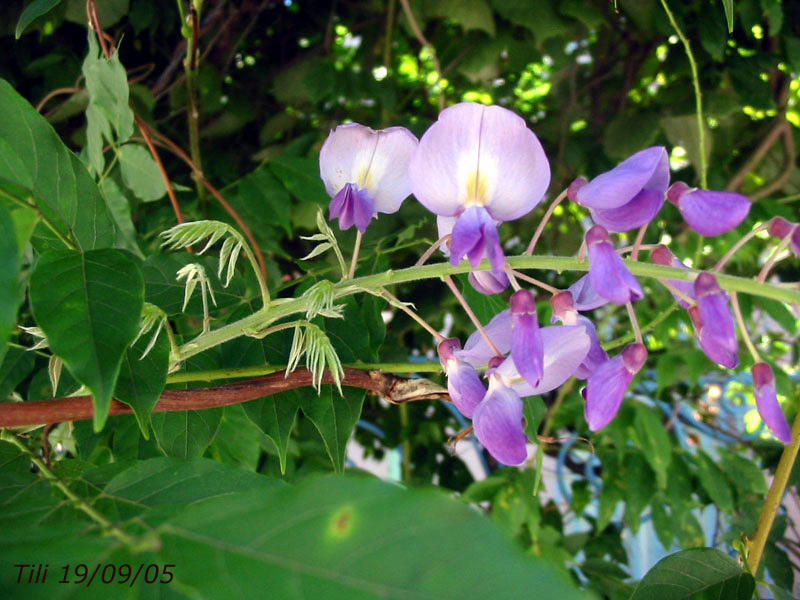 Foto de Oviedo (Asturias), España