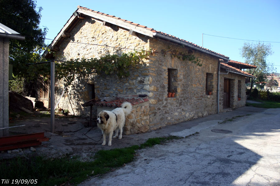 Foto de Oviedo (Asturias), España