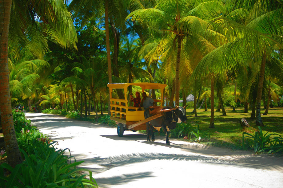 Foto de La Digue, Seychelles