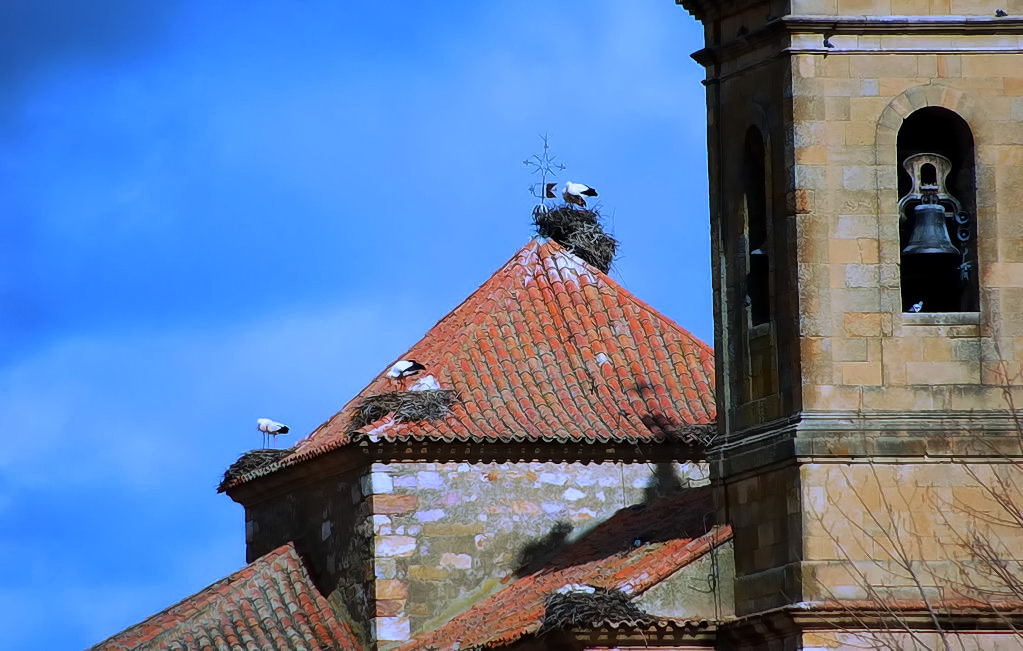 Foto de Salamanca (Castilla y León), España