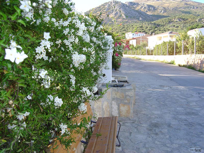 Foto de Mondrón (Málaga), España