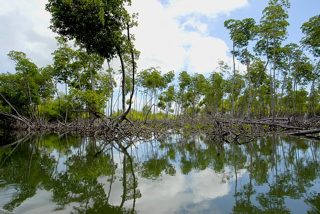Foto de LOS HAITISES, República Dominicana