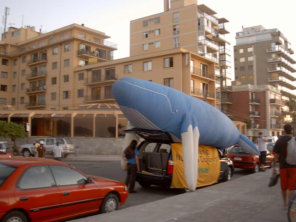Foto de Viña del Mar, Chile