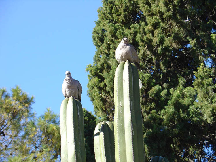 Foto de Valencia (València), España