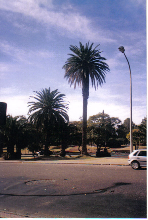 Foto de Cordoba, Argentina