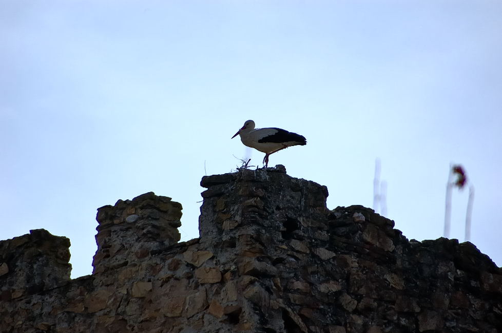 Foto de Buitrago del Lozoya (Madrid), España