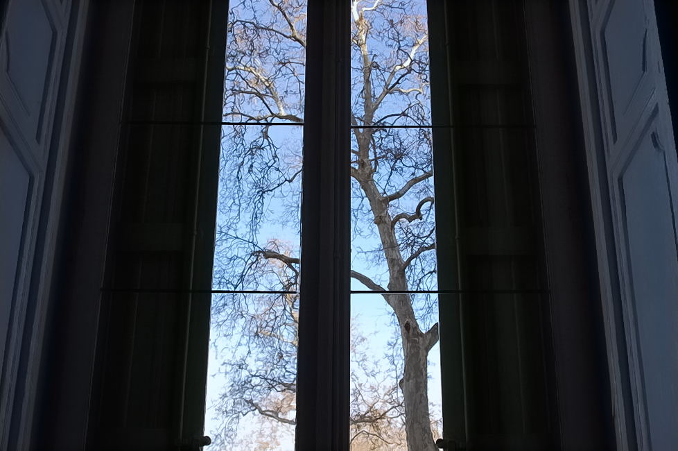 Foto de PALACIO DE RIOFRIO (Segovia), España