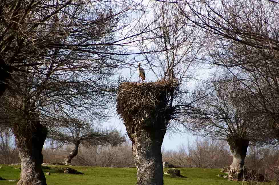 Foto de PALACIO DE RIOFRIO (Segovia), España