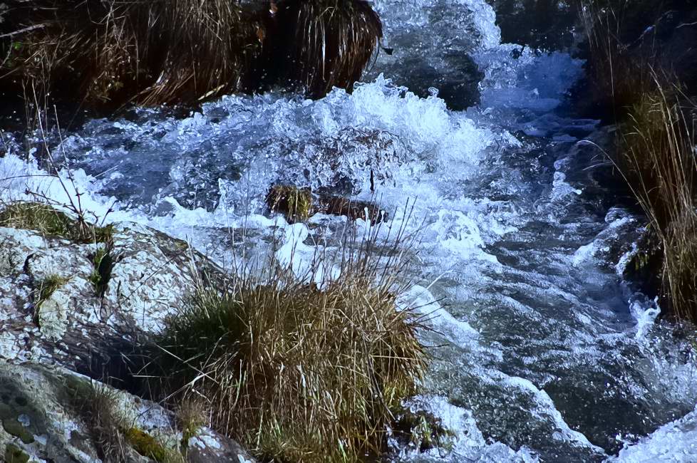 Foto de PALACIO DE RIOFRIO (Segovia), España