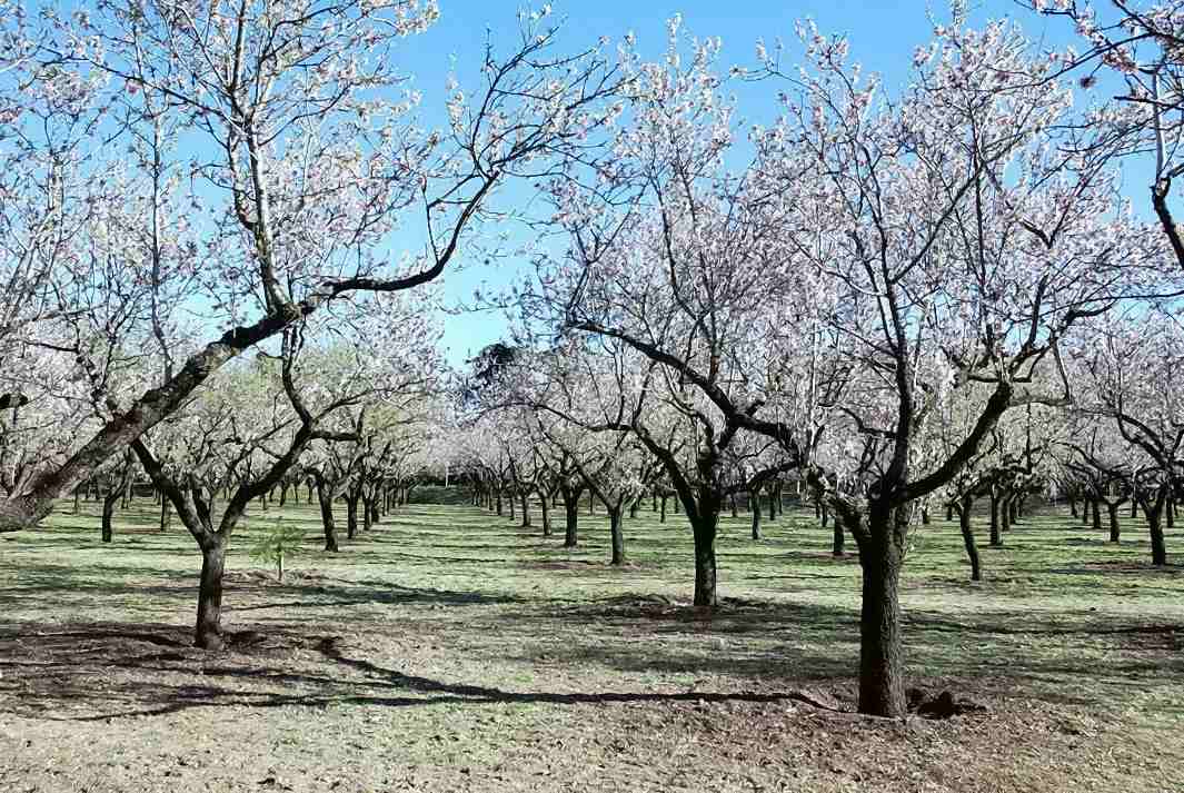Foto de Madrid (Comunidad de Madrid), España