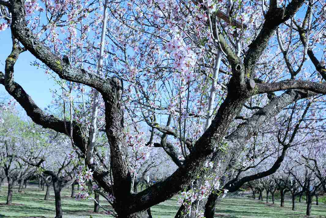 Foto de Madrid (Comunidad de Madrid), España