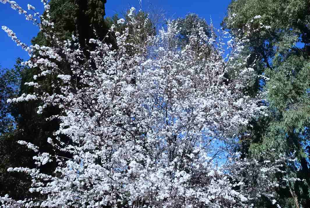 Foto de Madrid (Comunidad de Madrid), España