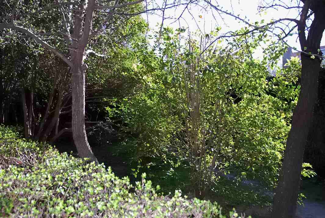 Foto de Madrid (Comunidad de Madrid), España