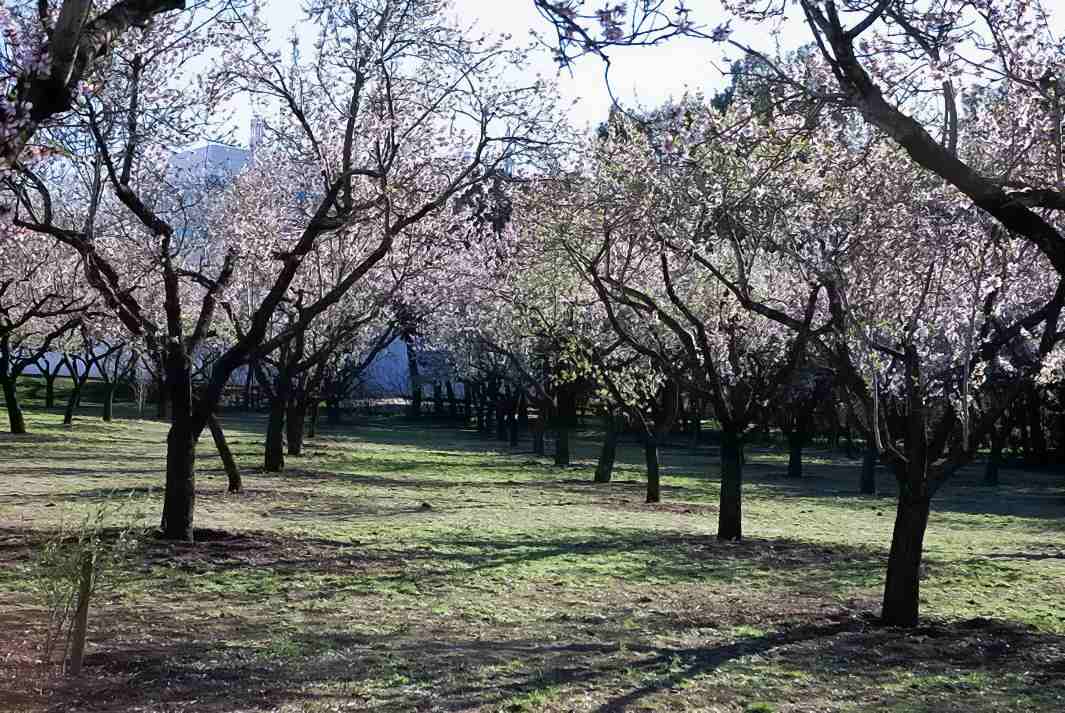 Foto de Madrid (Comunidad de Madrid), España