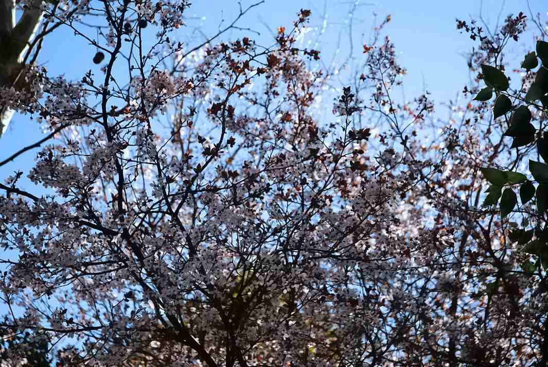 Foto de Madrid (Comunidad de Madrid), España