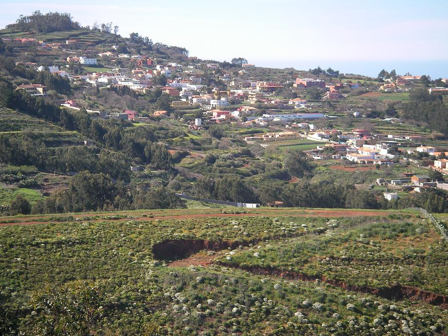 Foto de La Esperanza (Santa Cruz de Tenerife), España