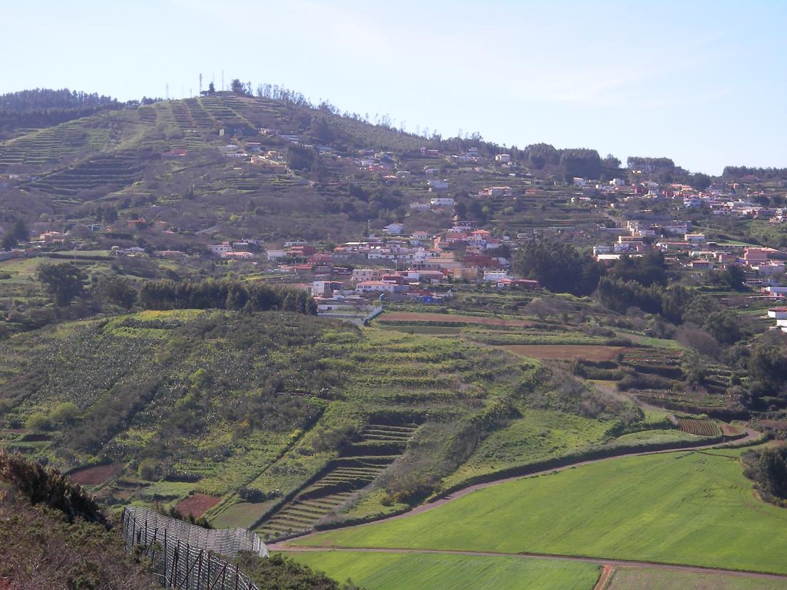 Foto de La Esperanza (Santa Cruz de Tenerife), España