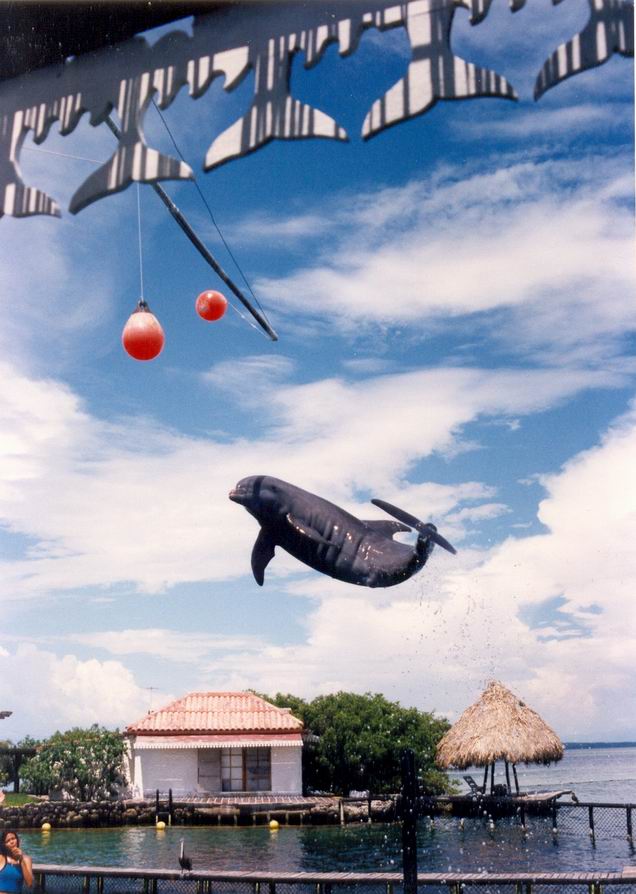 Foto de Islas del Rosario, Colombia