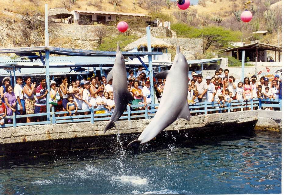 Foto de Islas del Rosario, Colombia
