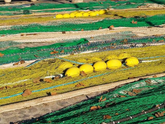 Foto de Palma de Mallorca (Illes Balears), España