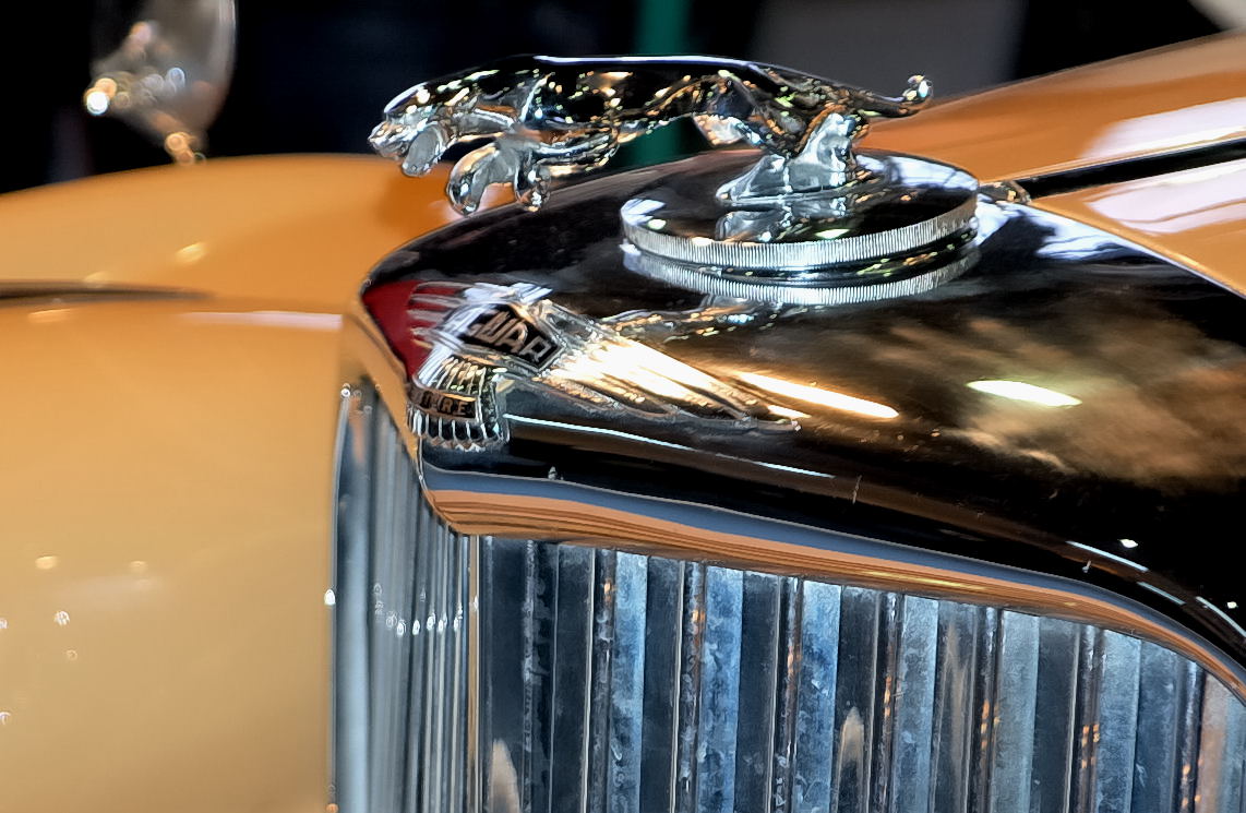 Foto de Madrid (Comunidad de Madrid), España