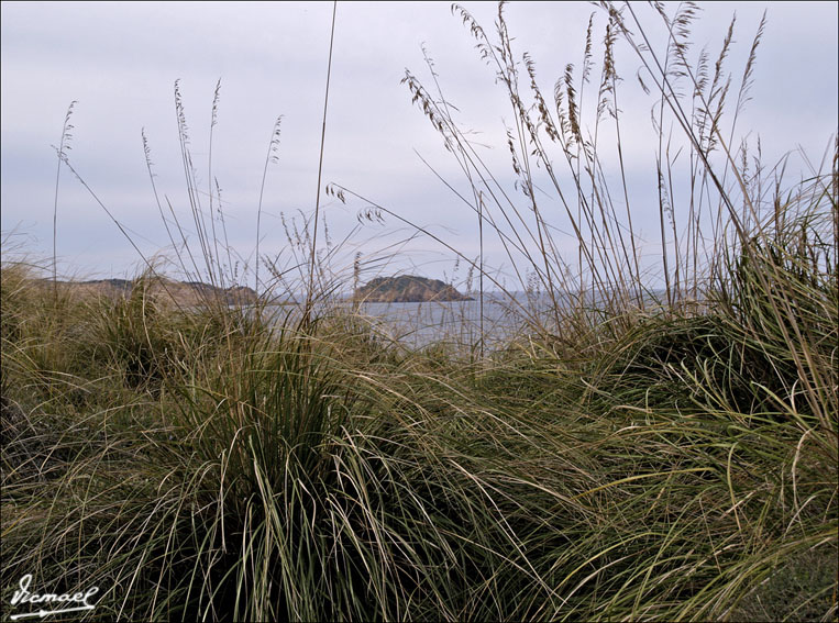 Foto de Cabo Cavallería (Illes Balears), España