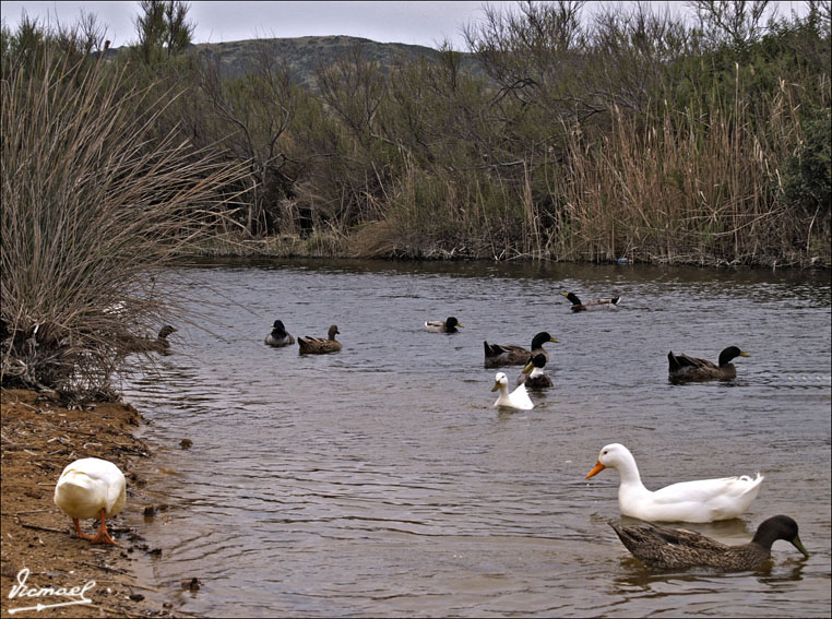 Foto de Cabo Cavallería (Illes Balears), España