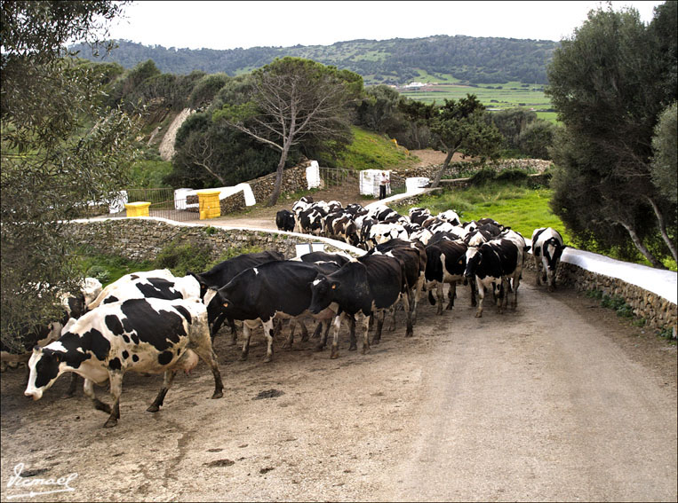 Foto de Binissues (Illes Balears), España
