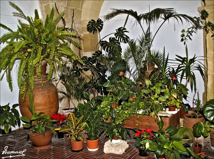 Foto de Monte Toro - Menorca (Illes Balears), España