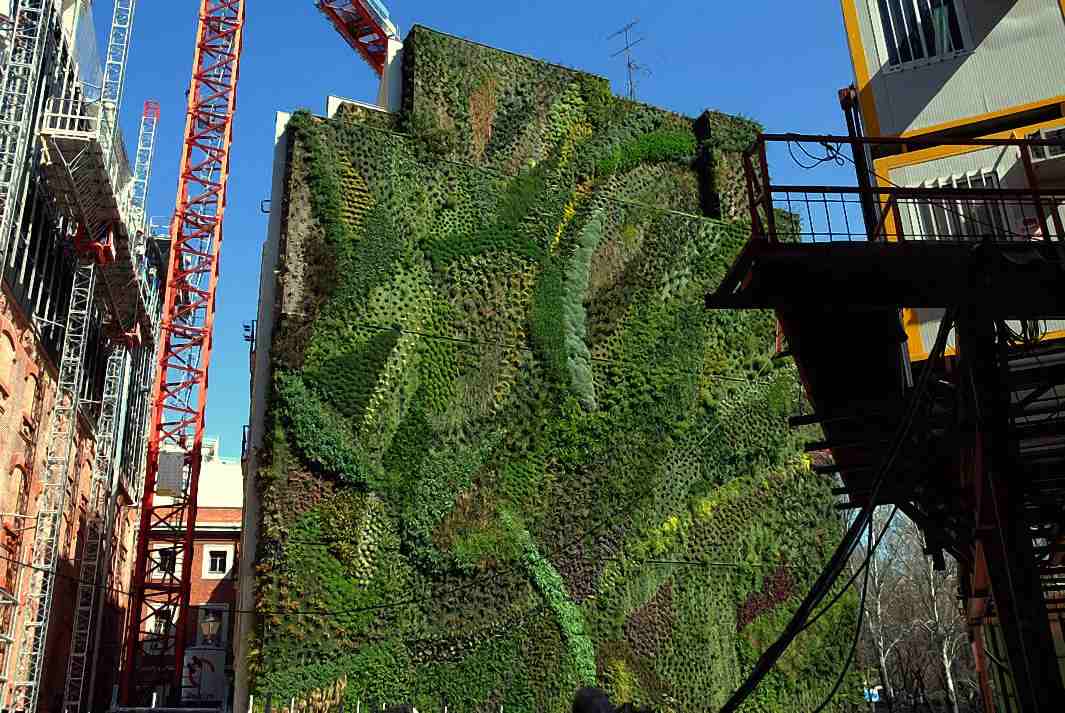 Foto de Madrid (Comunidad de Madrid), España