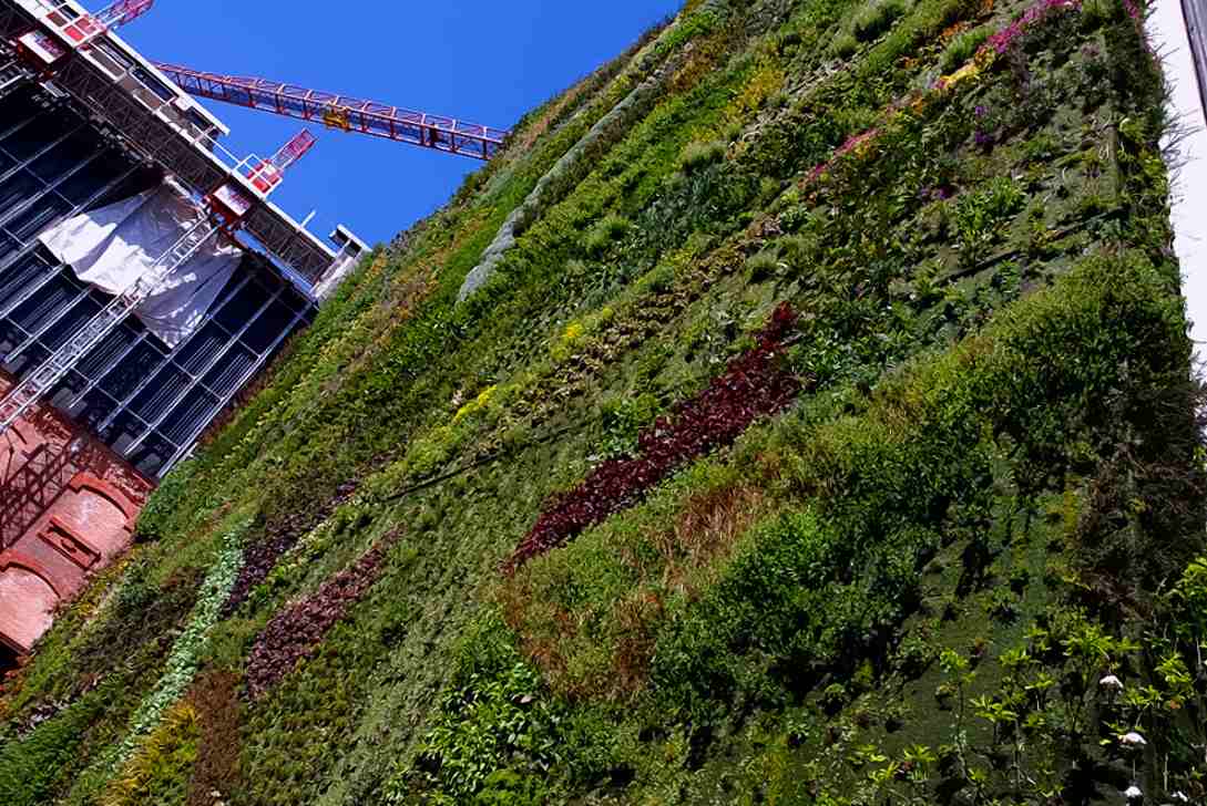 Foto de Madrid (Comunidad de Madrid), España