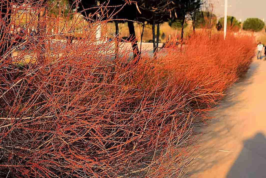 Foto de Madrid (Comunidad de Madrid), España