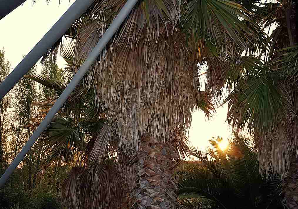 Foto de Madrid (Comunidad de Madrid), España