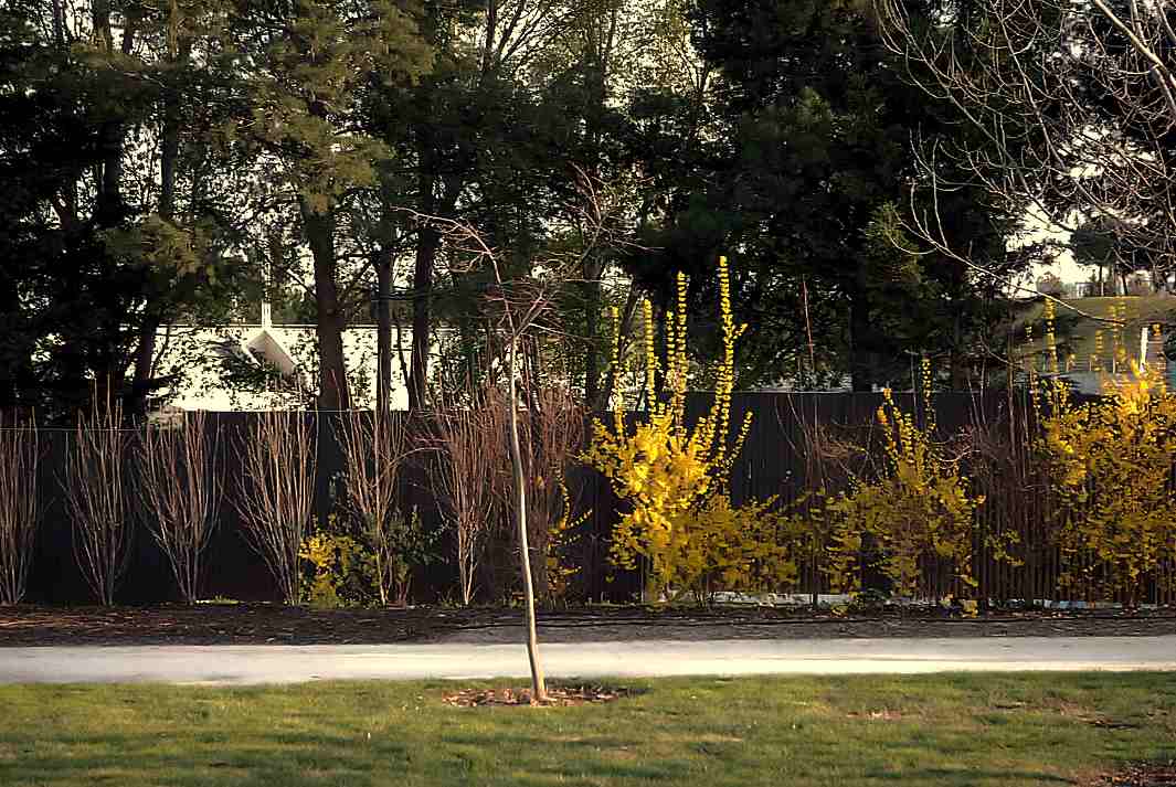 Foto de Madrid (Comunidad de Madrid), España